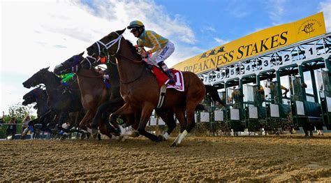 The 2021 Preakness Stakes was the 146th Preakness Stakes, a Grade I stakes race for three-year-old Thoroughbreds at a distance of 13⁄16 miles (1.9 km). The race is one leg of the American Triple Crown and is held annually at Pimlico Race Course in Baltimore, Maryland. The Preakness Stakes is traditionally held on the third Saturday in May ... 